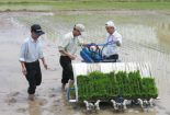 Chế tạo máy cấy cho nông dân